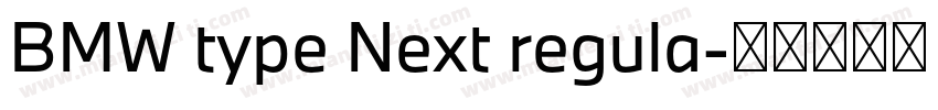 BMW type Next regula字体转换